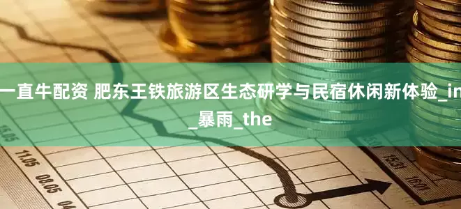 一直牛配资 肥东王铁旅游区生态研学与民宿休闲新体验_in_暴雨_the