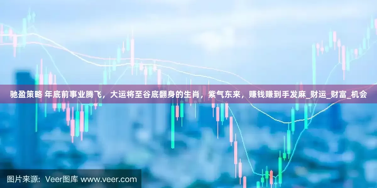 驰盈策略 年底前事业腾飞，大运将至谷底翻身的生肖，紫气东来，赚钱赚到手发麻_财运_财富_机会