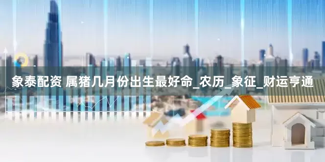 象泰配资 属猪几月份出生最好命_农历_象征_财运亨通
