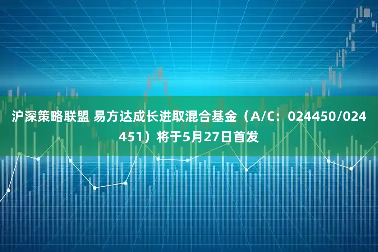 沪深策略联盟 易方达成长进取混合基金（A/C：024450/024451）将于5月27日首发