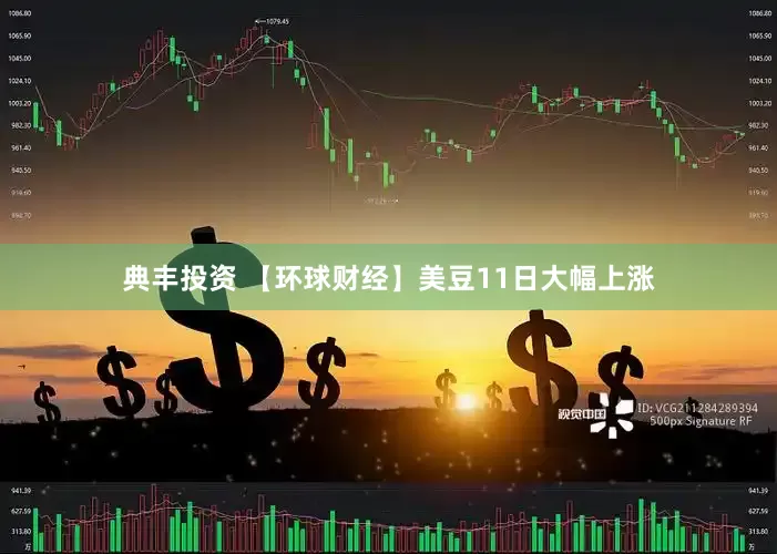 典丰投资 【环球财经】美豆11日大幅上涨