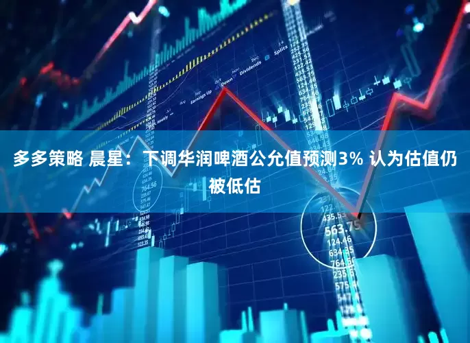 多多策略 晨星：下调华润啤酒公允值预测3% 认为估值仍被低估