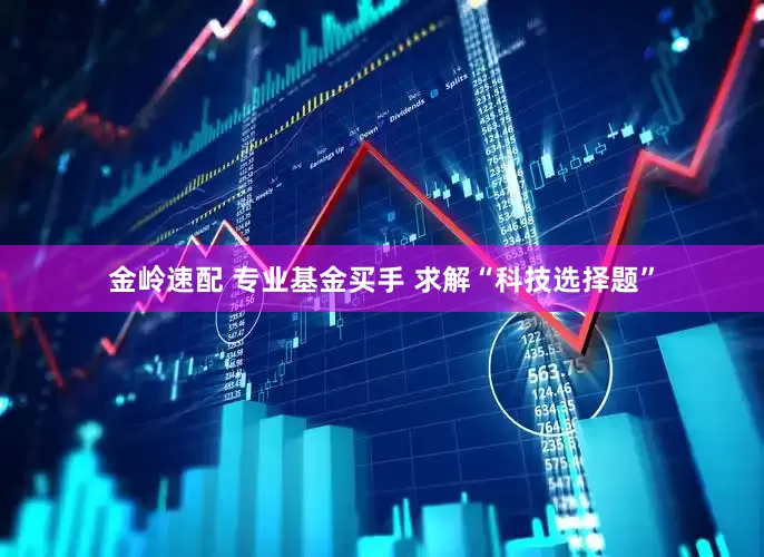 金岭速配 专业基金买手 求解“科技选择题”